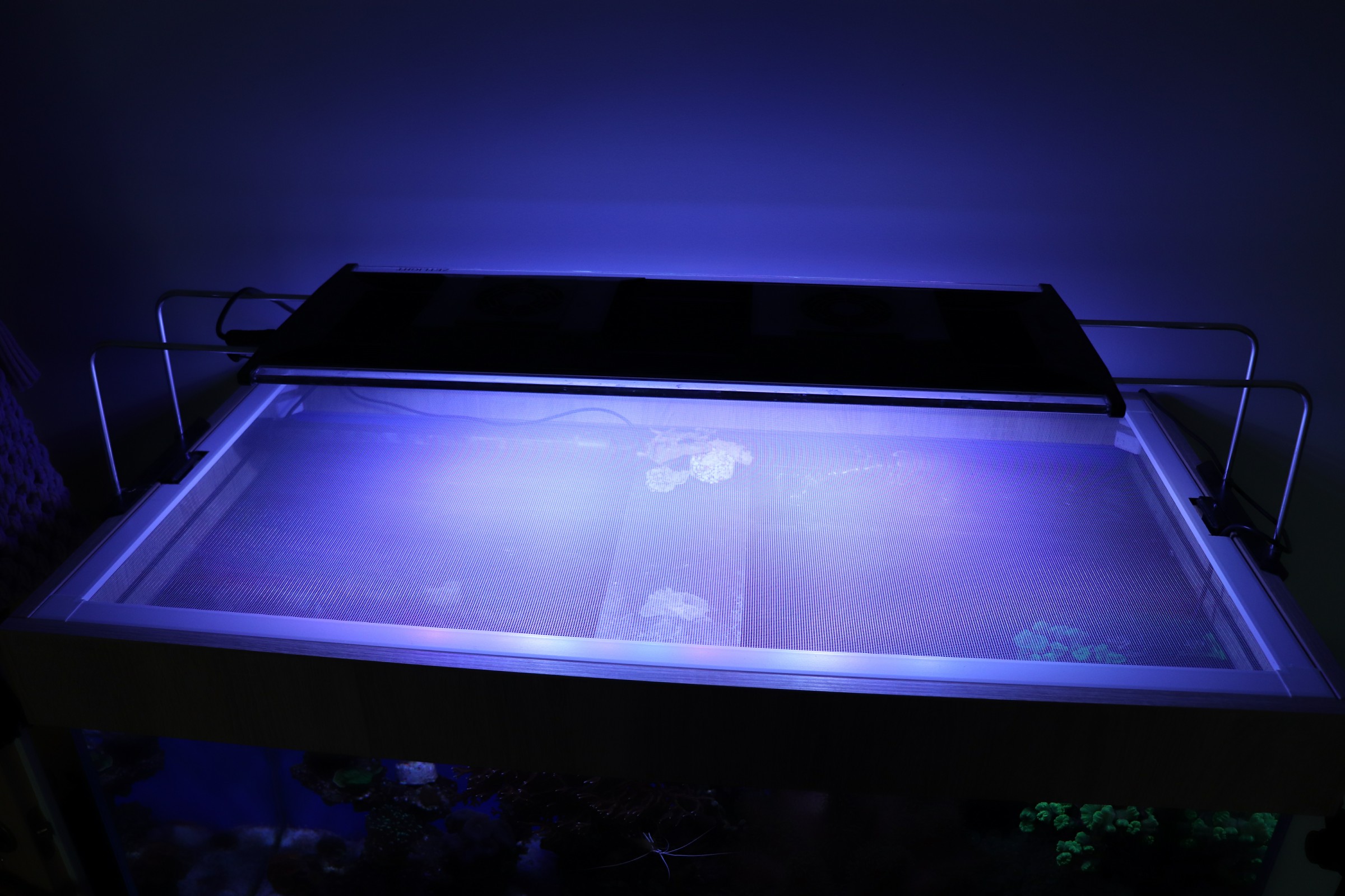 How to make a DIY aquarium lid from a mosquito net? – The Coral Cafe